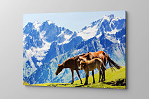 Obraz Kone a žriebä na pastvine 1615